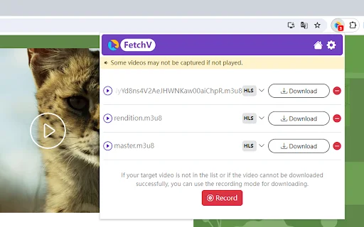 FetchV Video Downloader – I-download ang M3U8 at MP4 nang Mabilis - Screenshot 1