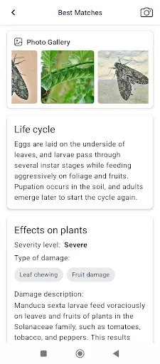 I-download ang Plant disease – Tukuyin ang Sakit ng Halaman Agad - Screenshot 5