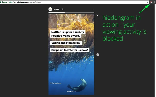 Hiddengram: Manood ng Instagram Stories nang Lihim – Libreng Download - Screenshot 2
